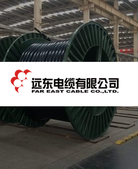 遠東電纜物流解決方案><